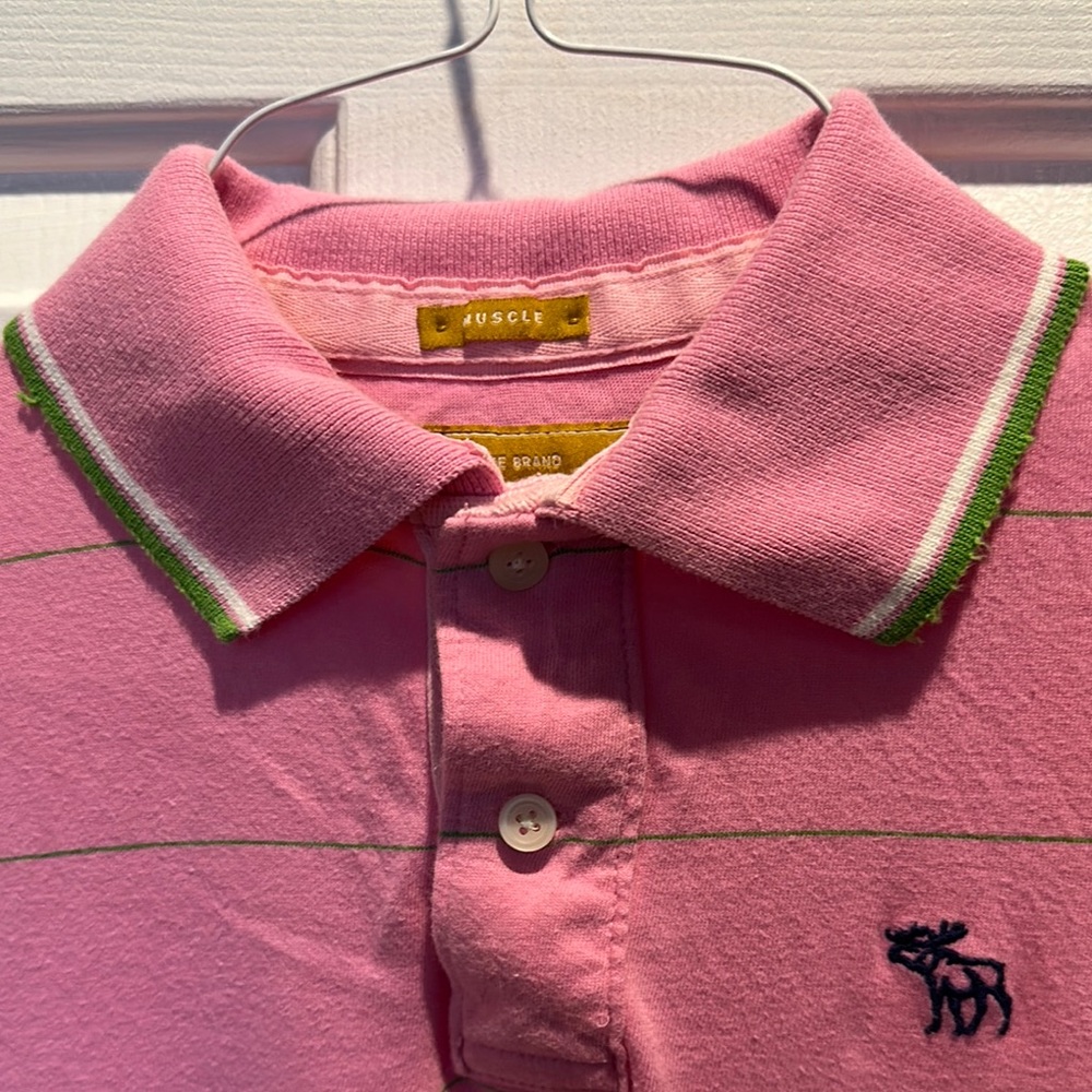 Abercrombie & Fitch Pink Polo muscle Shirt with horizontal green stripe - Picture 3 of 6